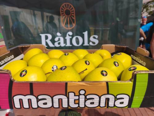 Caja de manzanas amarillas de la marca Mantiana colocada frente a un cartel de Fruits Ràfols, en un entorno de mercado o exposición.