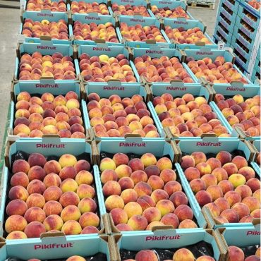 melocoton_mercabarna_pikifruit