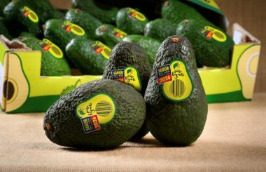 Tres aguacates Paso Lagarto Sabor del Año 2026 en primer plano con etiquetas del producto, delante de una caja con más aguacates de la misma marca.