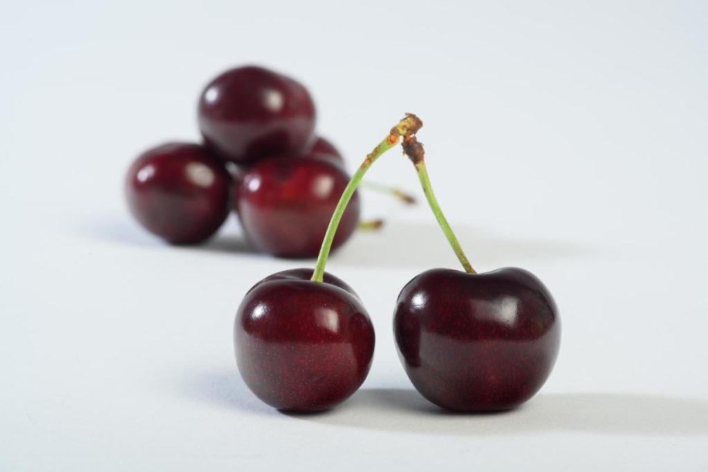 Dos cerezas en primer plano con varias cerezas desenfocadas al fondo sobre un fondo blanco.
