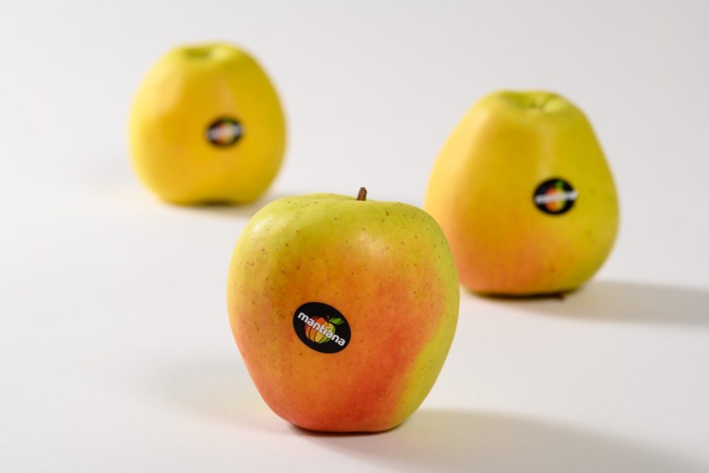Tres manzanas amarillas con tonos rojizos y etiquetas negras con la palabra «Mantiana».