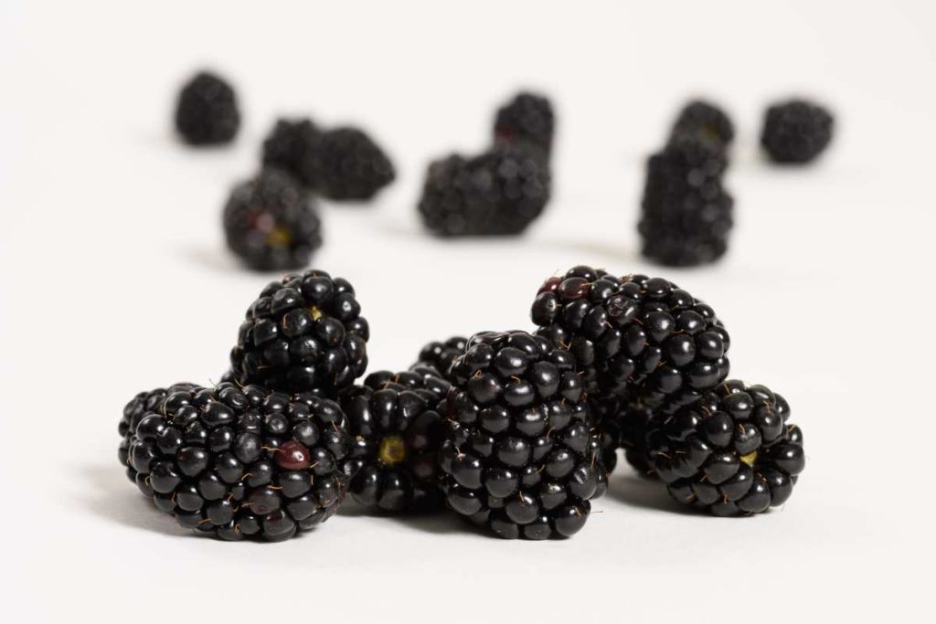 Moras negras agrupadas sobre una superficie blanca, con otras desenfocadas al fondo.