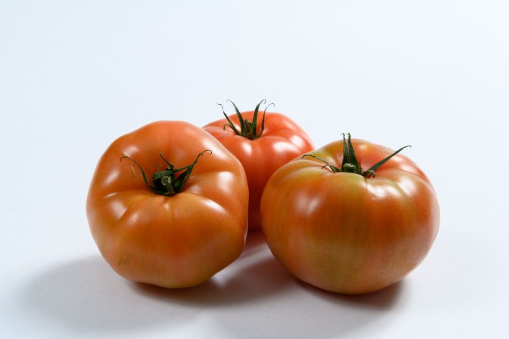 Tres tomates de ensalada enteros, de tonos rojizos y verdes, con sépalos verdes sobre fondo blanco.